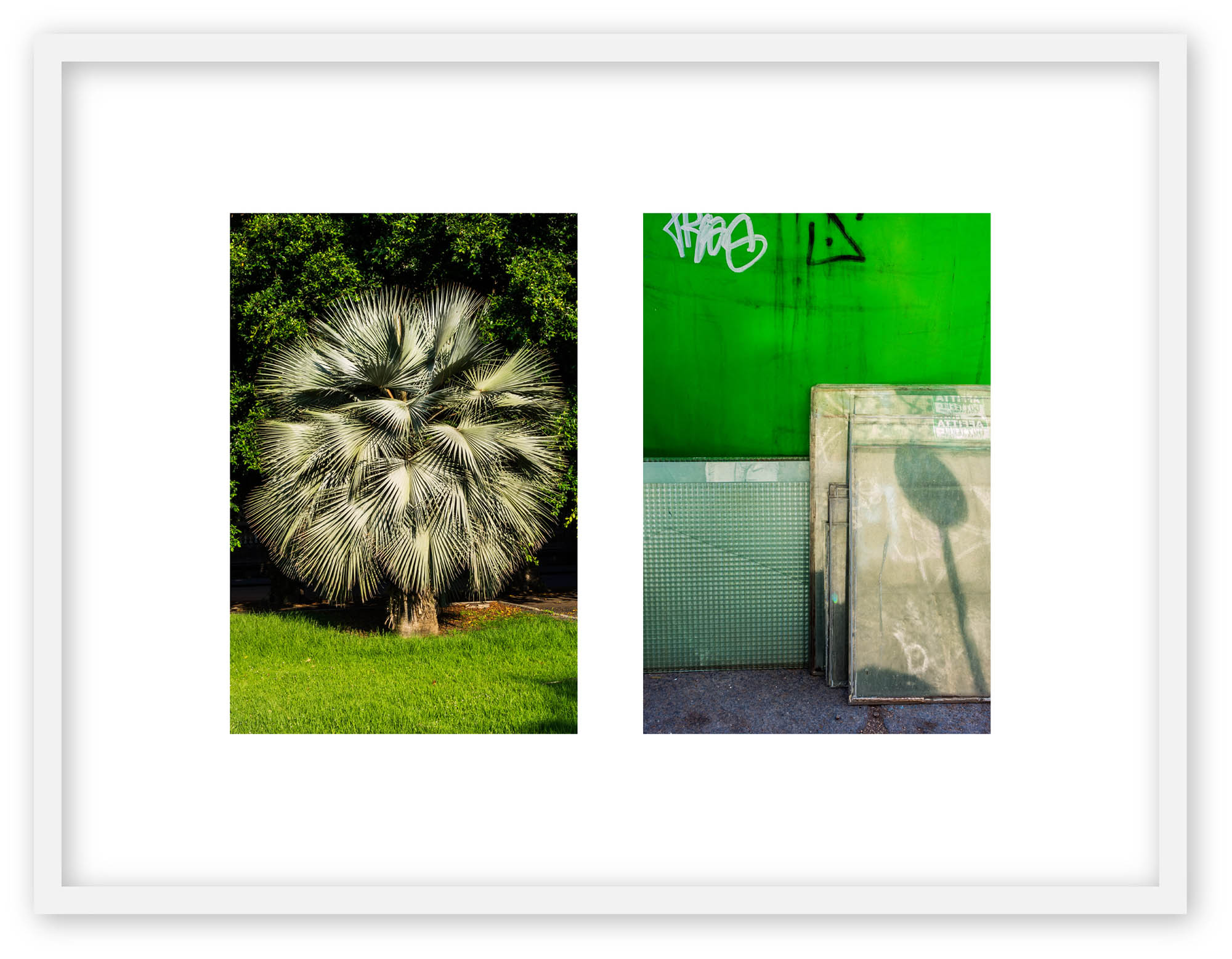 DANCE - Martin Ogolter